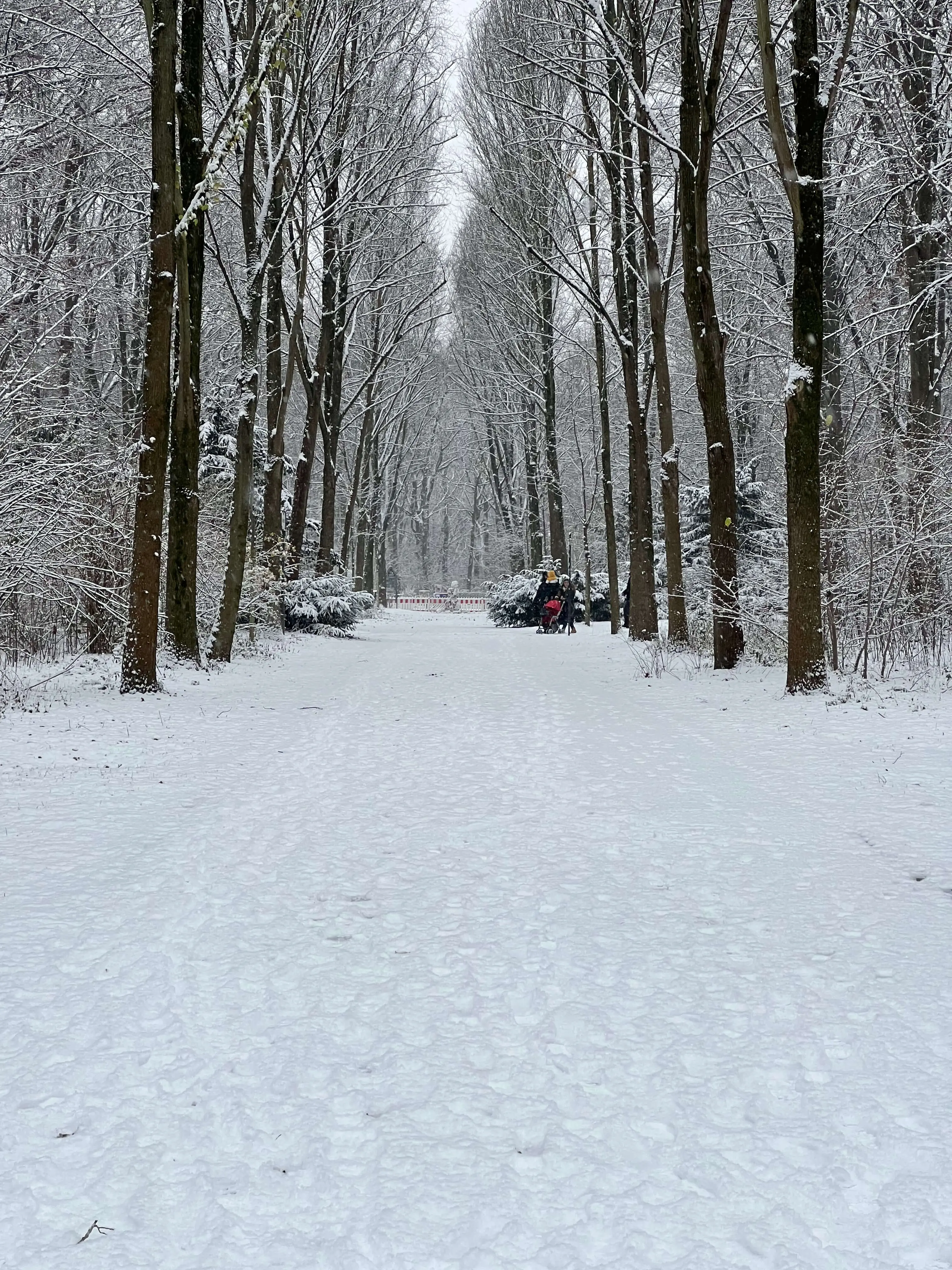 Schnee im Tiergarten